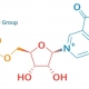 NMN 이미지