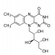 리보플라빈 이미지