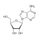 아데닌 이미지