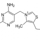 비타민 B1(티아민) 이미지