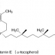 비타민 E(토코페롤) 이미지