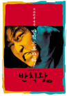 출연작