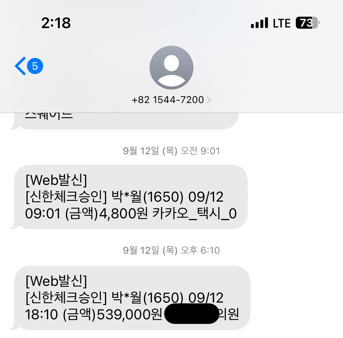 내돈내산 카드문자내역 